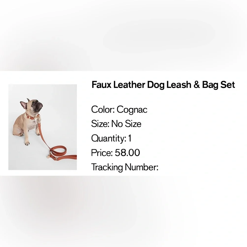 Faux Leather Dog Leash & Bag Set - Picture 2 of 2